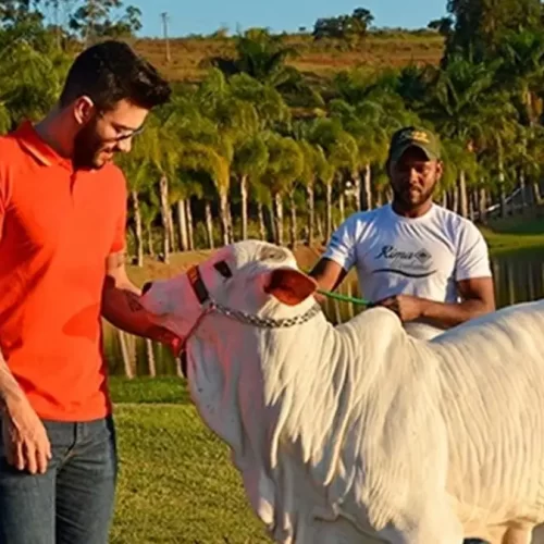 Explore a fazenda de Gusttavo Lima que o tornou “magnata do Agro”