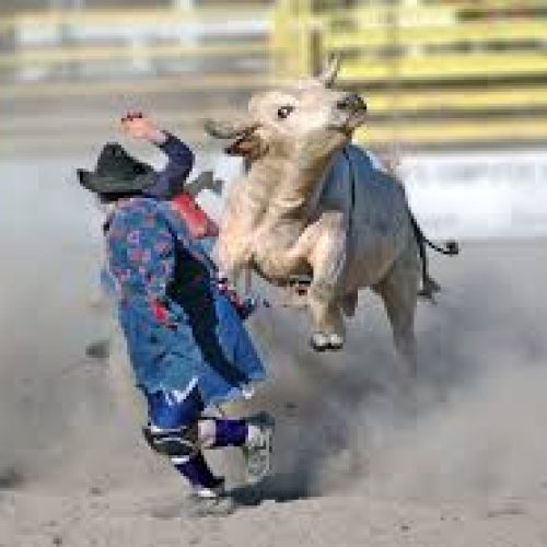 Bullfighter: O Herói das Arenas e o Guardião dos Rodeios