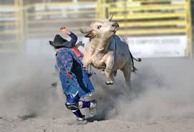 Bullfighter: O Herói das Arenas e o Guardião dos Rodeios